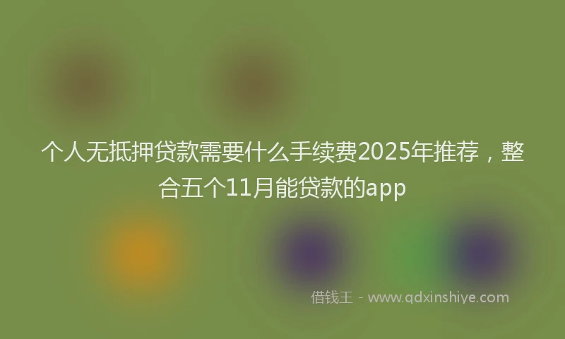 个人无抵押贷款需要什么手续费2025年推荐，整合五个11月能贷款的app