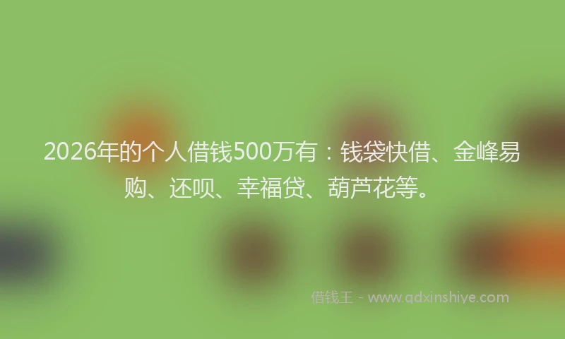 2026年的个人借钱500万有：钱袋快借、金峰易购、还呗、幸福贷、葫芦花等。