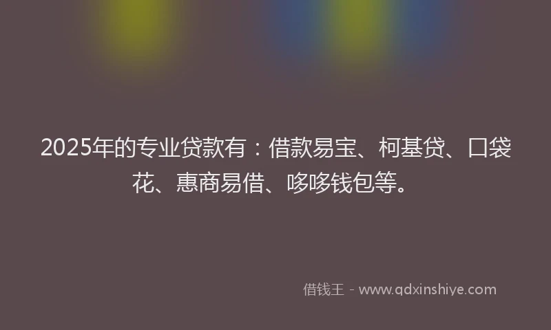 2025年的专业贷款有:借款易宝、柯基贷、口袋花、惠商易借、哆哆钱包等。