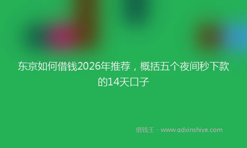 东京如何借钱2026年推荐,概括五个夜间秒下款的14天口子