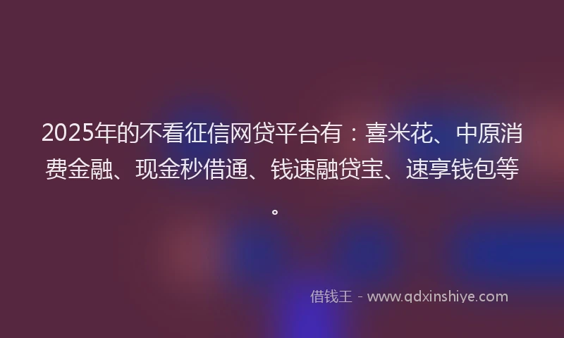 2025年的不看征信网贷平台有：喜米花、中原消费金融、现金秒借通、钱速融贷宝、速享钱包等。