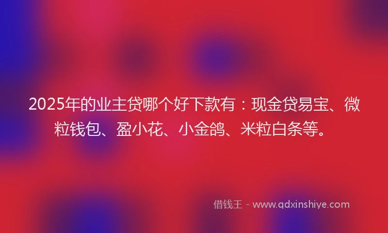 2025年的业主贷哪个好下款有：现金贷易宝、微粒钱包、盈小花、小金鸽、米粒白条等。