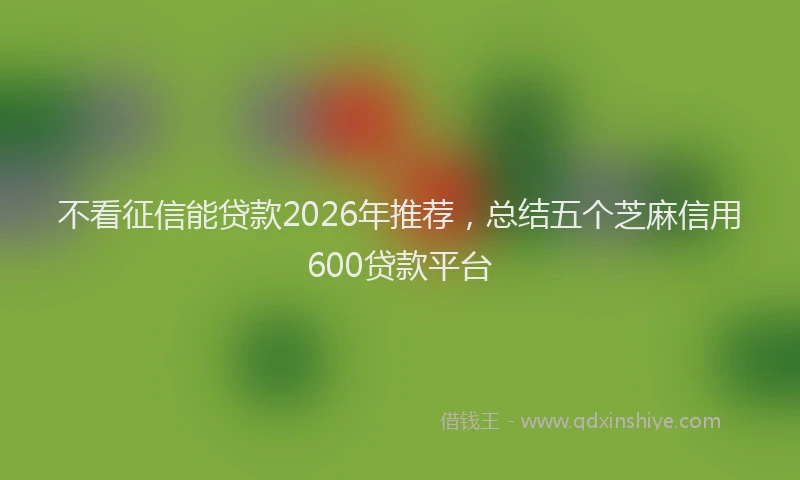 不看征信能贷款2026年推荐，总结五个芝麻信用600贷款平台