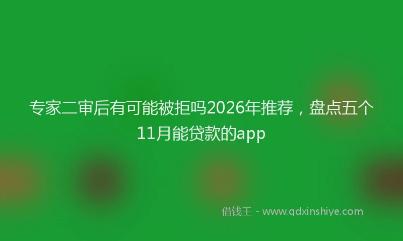 专家二审后有可能被拒吗2026年推荐,盘点五个11月能贷款的app