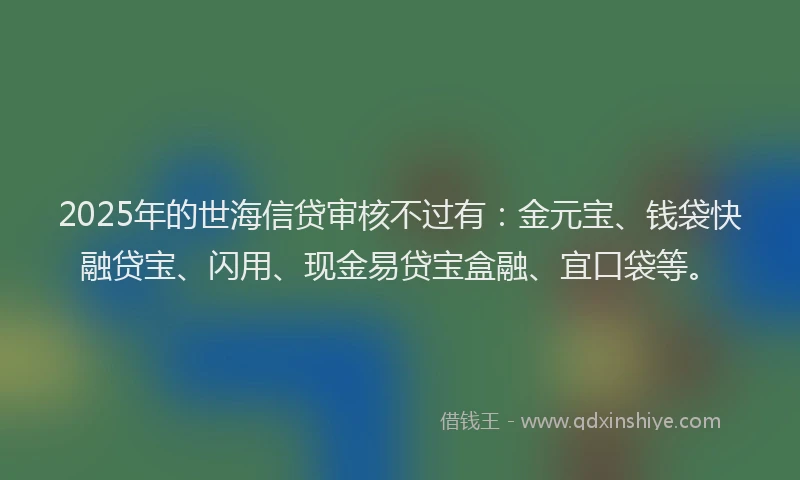 2025年的世海信贷审核不过有：金元宝、钱袋快融贷宝、闪用、现金易贷宝盒融、宜口袋等。