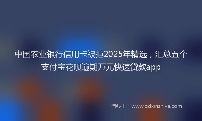 中国农业银行信用卡被拒2025年精选，汇总五个支付宝花呗逾期万元快速贷款app