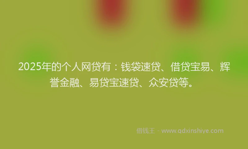 2025年的个人网贷有:钱袋速贷、借贷宝易、辉誉金融、易贷宝速贷、众安贷等。