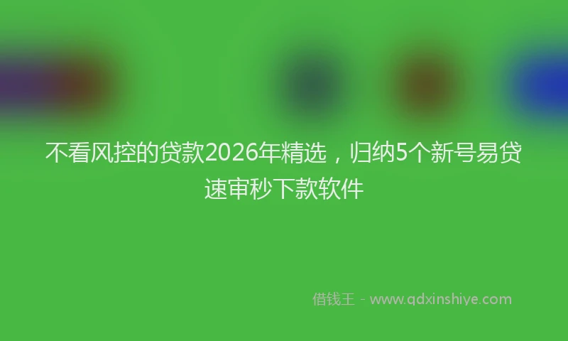 不看风控的贷款2026年精选，归纳5个新号易贷速审秒下款软件