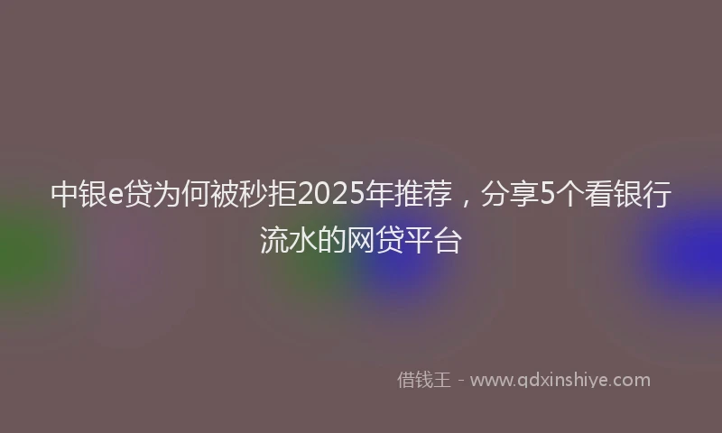 中银e贷为何被秒拒2025年推荐，分享5个看银行流水的网贷平台