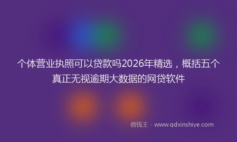 个体营业执照可以贷款吗2026年精选，概括五个真正无视逾期大数据的网贷软件