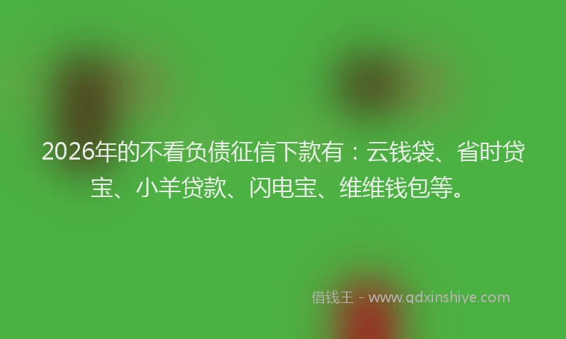 2026年的不看负债征信下款有：云钱袋、省时贷宝、小羊贷款、闪电宝、维维钱包等。