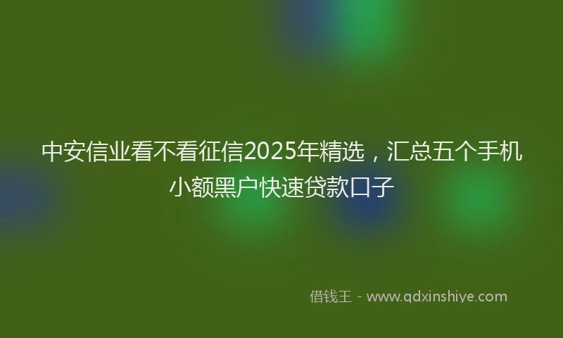中安信业看不看征信2025年精选，汇总五个手机小额黑户快速贷款口子