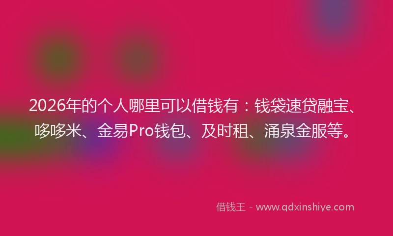 2026年的个人哪里可以借钱有:钱袋速贷融宝、哆哆米、金易Pro钱包、及时租、涌泉金服等。