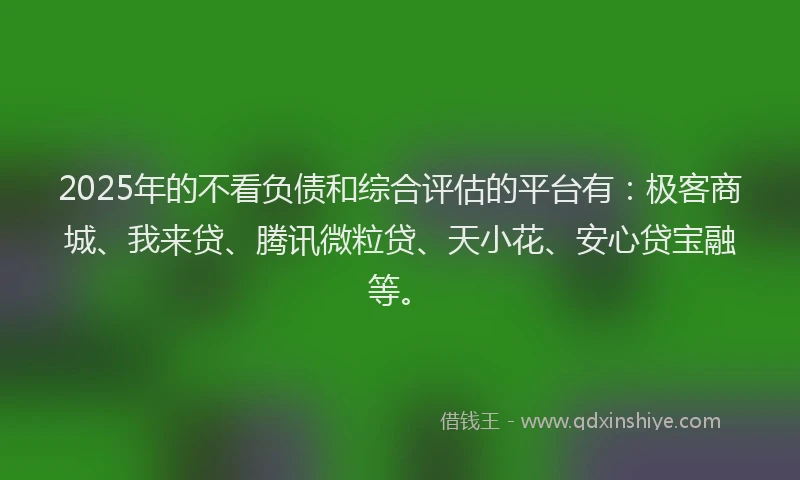 2025年的不看负债和综合评估的平台有：极客商城、我来贷、腾讯微粒贷、天小花、安心贷宝融等。