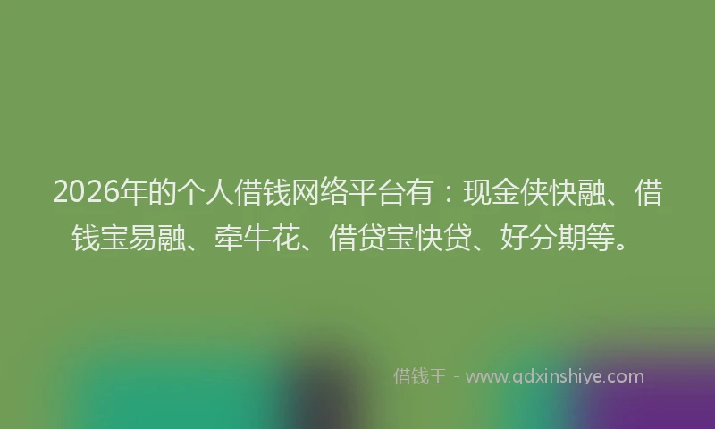 2026年的个人借钱网络平台有：现金侠快融、借钱宝易融、牵牛花、借贷宝快贷、好分期等。