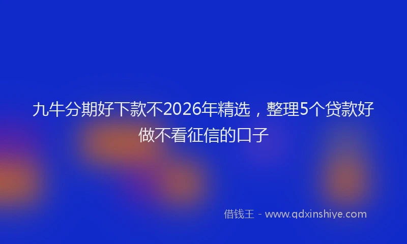 九牛分期好下款不2026年精选，整理5个贷款好做不看征信的口子