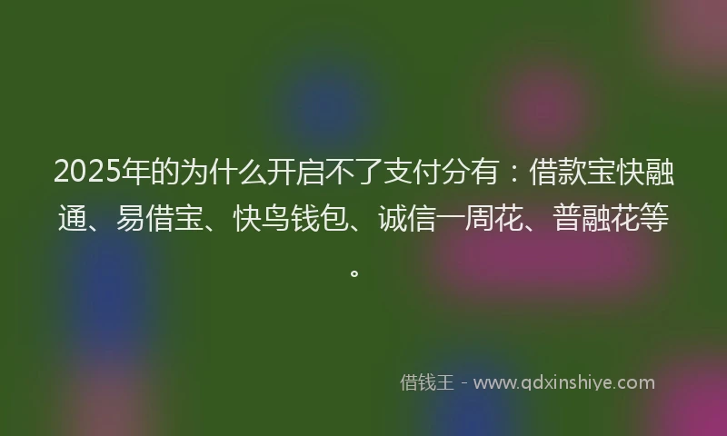 2025年的为什么开启不了支付分有：借款宝快融通、易借宝、快鸟钱包、诚信一周花、普融花等。