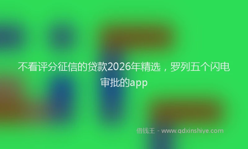 不看评分征信的贷款2026年精选，罗列五个闪电审批的app