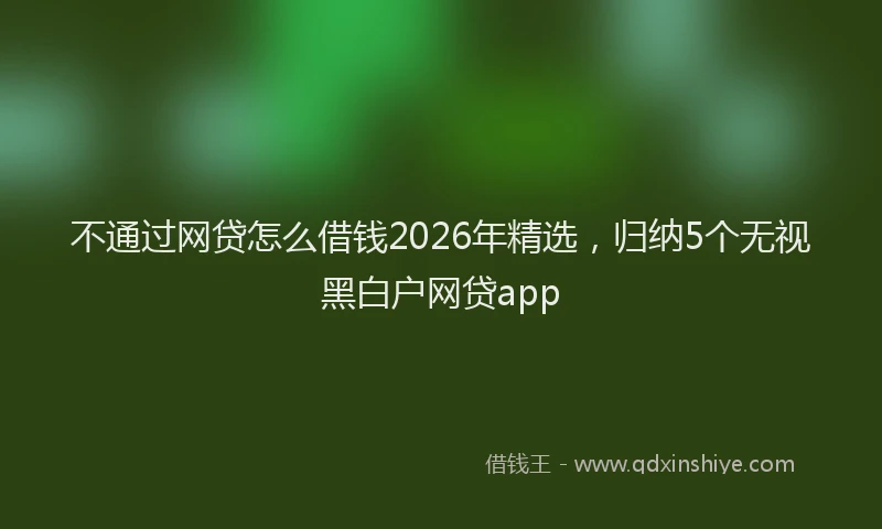 不通过网贷怎么借钱2026年精选，归纳5个无视黑白户网贷app