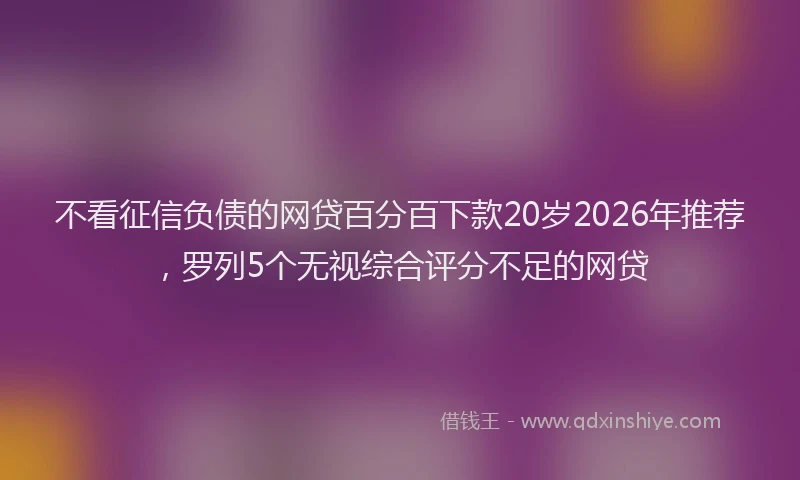 不看征信负债的网贷百分百下款20岁2026年推荐，罗列5个无视综合评分不足的网贷