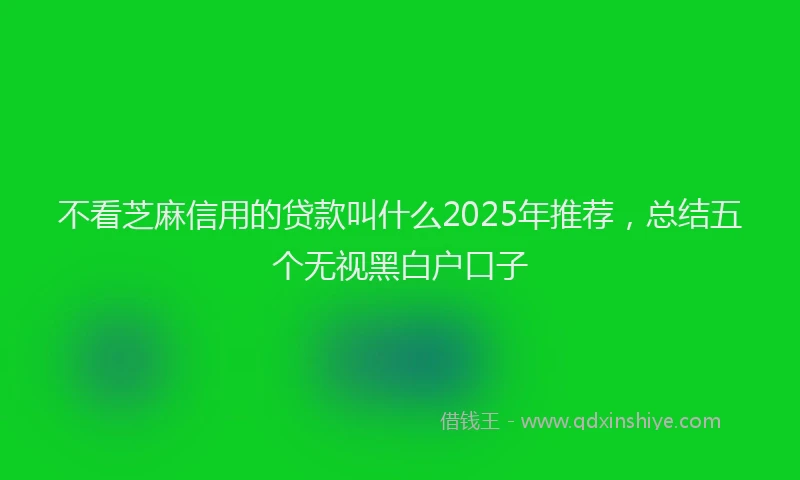不看芝麻信用的贷款叫什么2025年推荐，总结五个无视黑白户口子