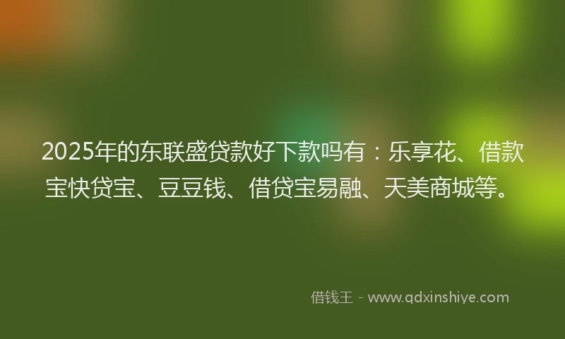 2025年的东联盛贷款好下款吗有：乐享花、借款宝快贷宝、豆豆钱、借贷宝易融、天美商城等。