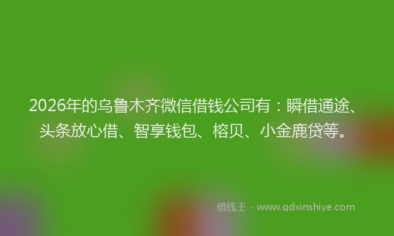 2026年的乌鲁木齐微信借钱公司有:瞬借通途、头条放心借、智享钱包、榕贝、小金鹿贷等。
