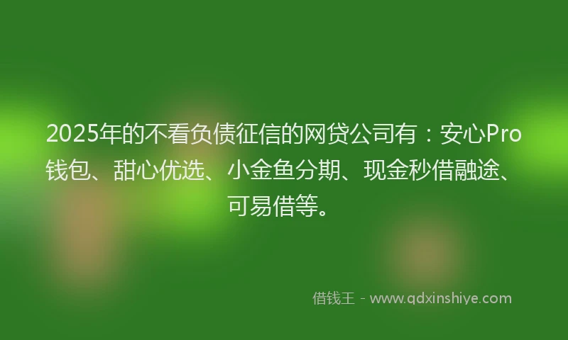 2025年的不看负债征信的网贷公司有:安心Pro钱包、甜心优选、小金鱼分期、现金秒借融途、可易借等。