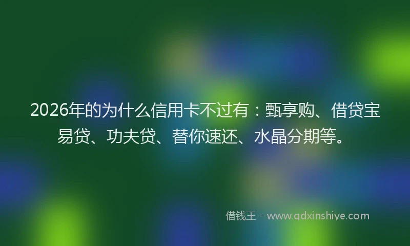 2026年的为什么信用卡不过有：甄享购、借贷宝易贷、功夫贷、替你速还、水晶分期等。