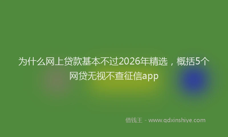 为什么网上贷款基本不过2026年精选，概括5个网贷无视不查征信app