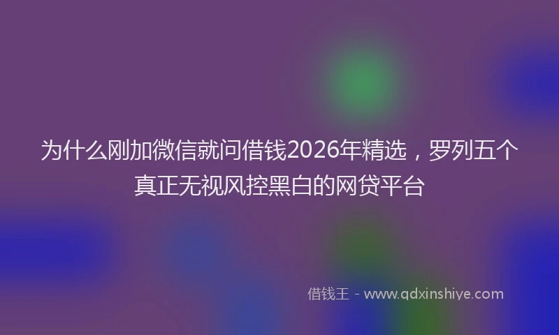 为什么刚加微信就问借钱2026年精选，罗列五个真正无视风控黑白的网贷平台