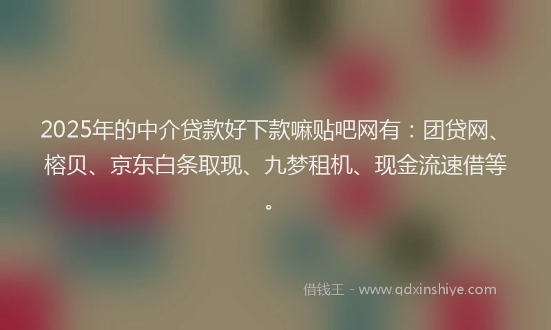 2025年的中介贷款好下款嘛贴吧网有：团贷网、榕贝、京东白条取现、九梦租机、现金流速借等。
