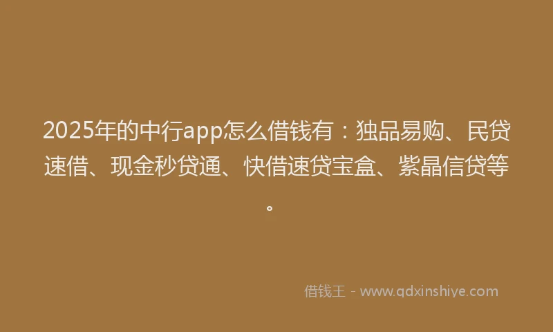 2025年的中行app怎么借钱有：独品易购、民贷速借、现金秒贷通、快借速贷宝盒、紫晶信贷等。