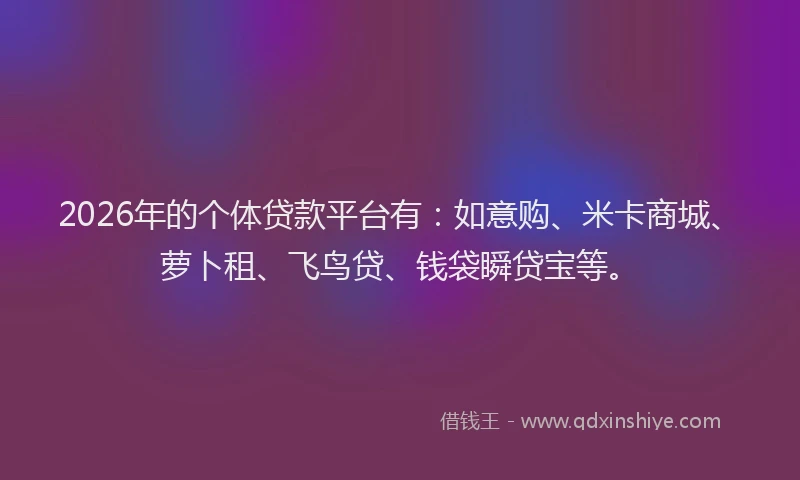 2026年的个体贷款平台有：如意购、米卡商城、萝卜租、飞鸟贷、钱袋瞬贷宝等。