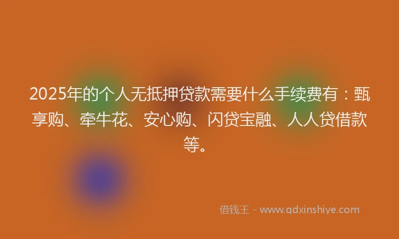 2025年的个人无抵押贷款需要什么手续费有：甄享购、牵牛花、安心购、闪贷宝融、人人贷借款等。
