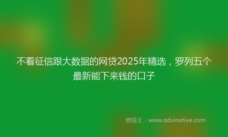 不看征信跟大数据的网贷2025年精选,罗列五个最新能下来钱的口子