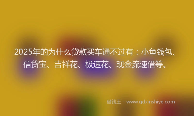 2025年的为什么贷款买车通不过有：小鱼钱包、信贷宝、吉祥花、极速花、现金流速借等。