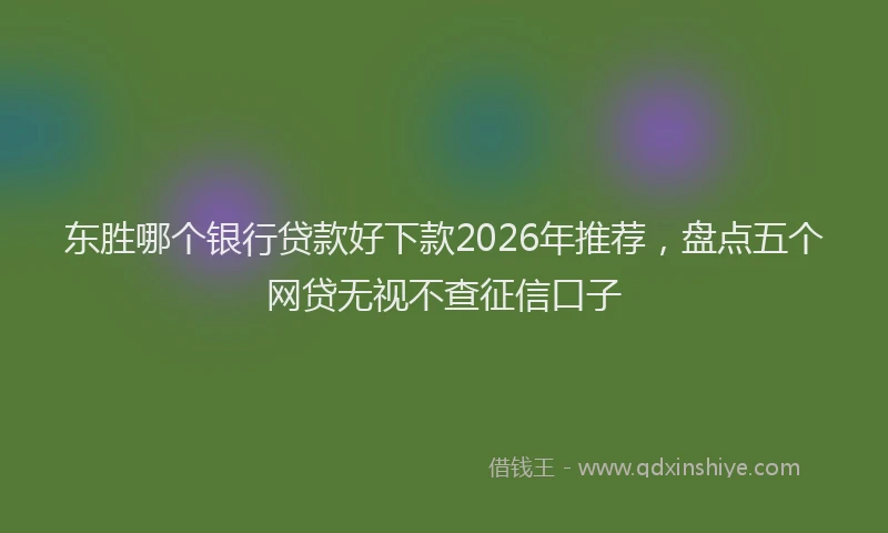 东胜哪个银行贷款好下款2026年推荐，盘点五个网贷无视不查征信口子