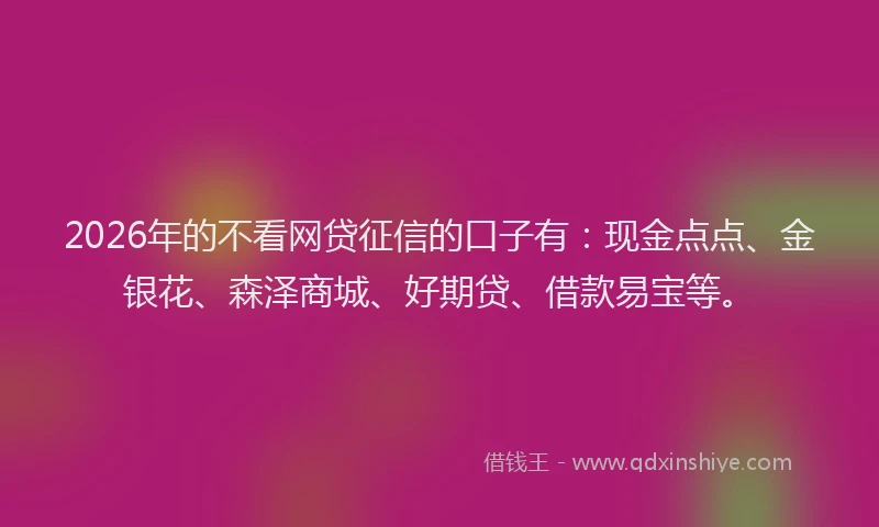 2026年的不看网贷征信的口子有：现金点点、金银花、森泽商城、好期贷、借款易宝等。