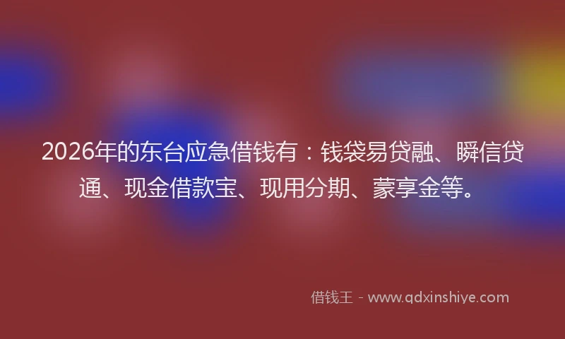2026年的东台应急借钱有：钱袋易贷融、瞬信贷通、现金借款宝、现用分期、蒙享金等。