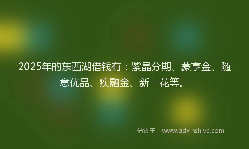 2025年的东西湖借钱有：紫晶分期、蒙享金、随意优品、疾融金、新一花等。