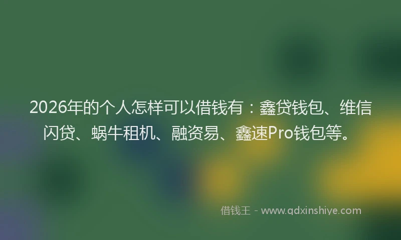 2026年的个人怎样可以借钱有:鑫贷钱包、维信闪贷、蜗牛租机、融资易、鑫速Pro钱包等。