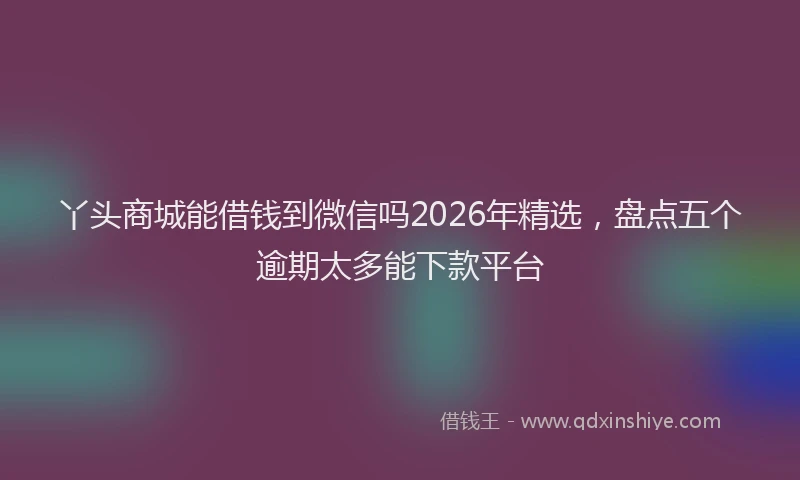丫头商城能借钱到微信吗2026年精选，盘点五个逾期太多能下款平台