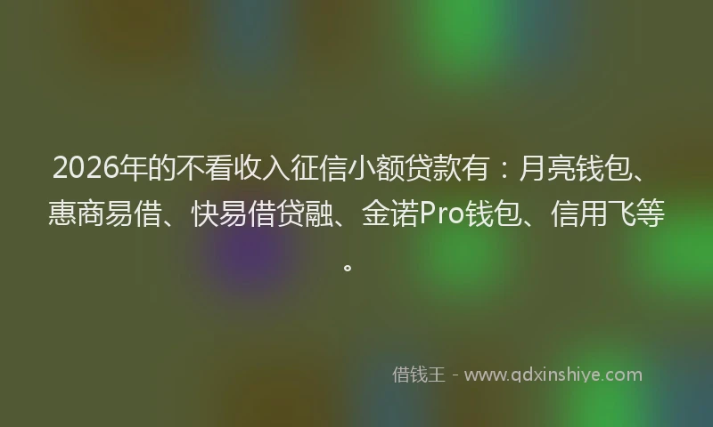 2026年的不看收入征信小额贷款有：月亮钱包、惠商易借、快易借贷融、金诺Pro钱包、信用飞等。