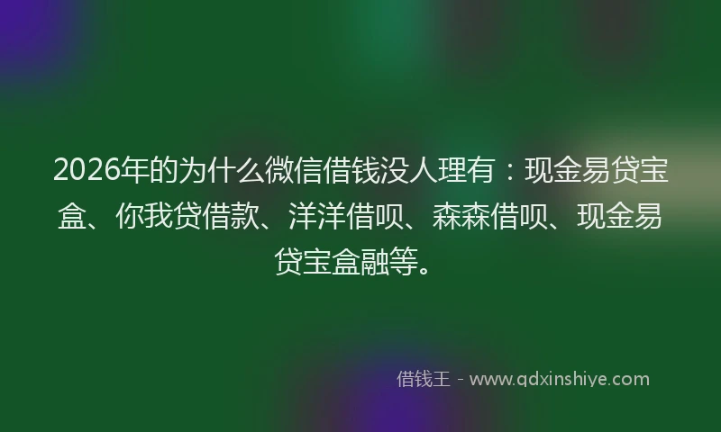 2026年的为什么微信借钱没人理有:现金易贷宝盒、你我贷借款、洋洋借呗、森森借呗、现金易贷宝盒融等。
