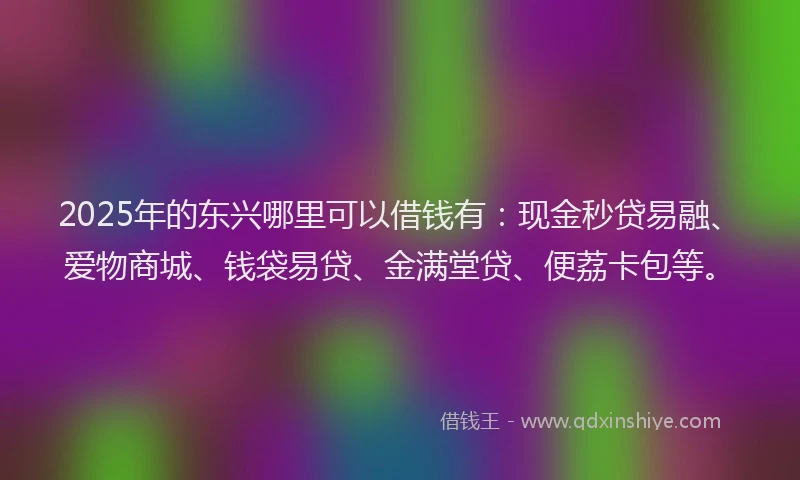 2025年的东兴哪里可以借钱有：现金秒贷易融、爱物商城、钱袋易贷、金满堂贷、便荔卡包等。