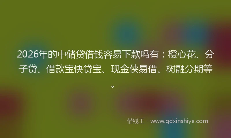 2026年的中储贷借钱容易下款吗有:橙心花、分子贷、借款宝快贷宝、现金侠易借、树融分期等。