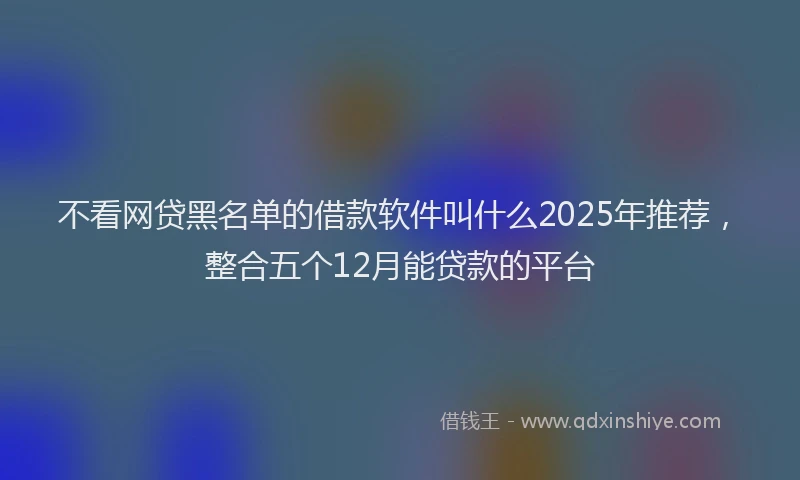 不看网贷黑名单的借款软件叫什么2025年推荐，整合五个12月能贷款的平台