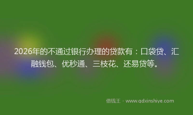 2026年的不通过银行办理的贷款有：口袋贷、汇融钱包、优秒通、三枝花、还易贷等。