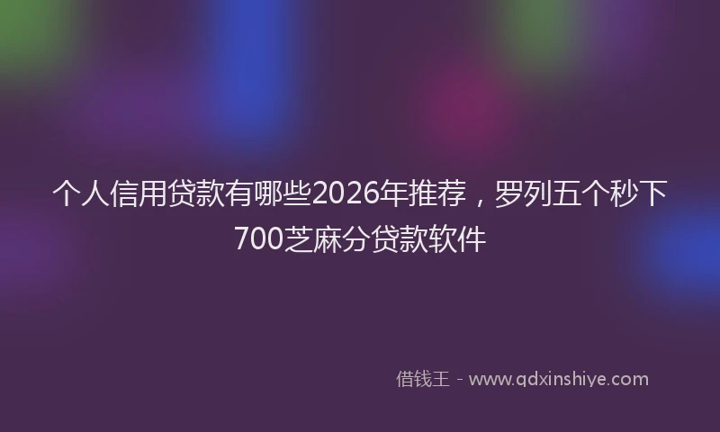 个人信用贷款有哪些2026年推荐，罗列五个秒下700芝麻分贷款软件
